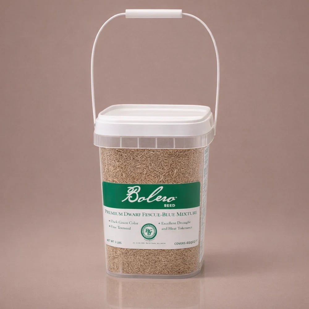 Bolero Plus Sod-Quality dwarf tall fescue seed, 3 lb caddie